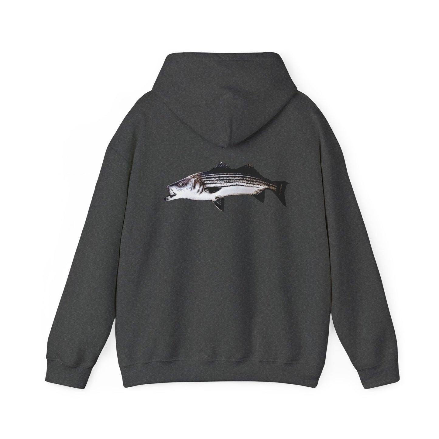 Tail-whip Striped bass 'striper' hooded sweatshirt