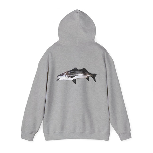 Tail-whip Striped bass 'striper' hooded sweatshirt
