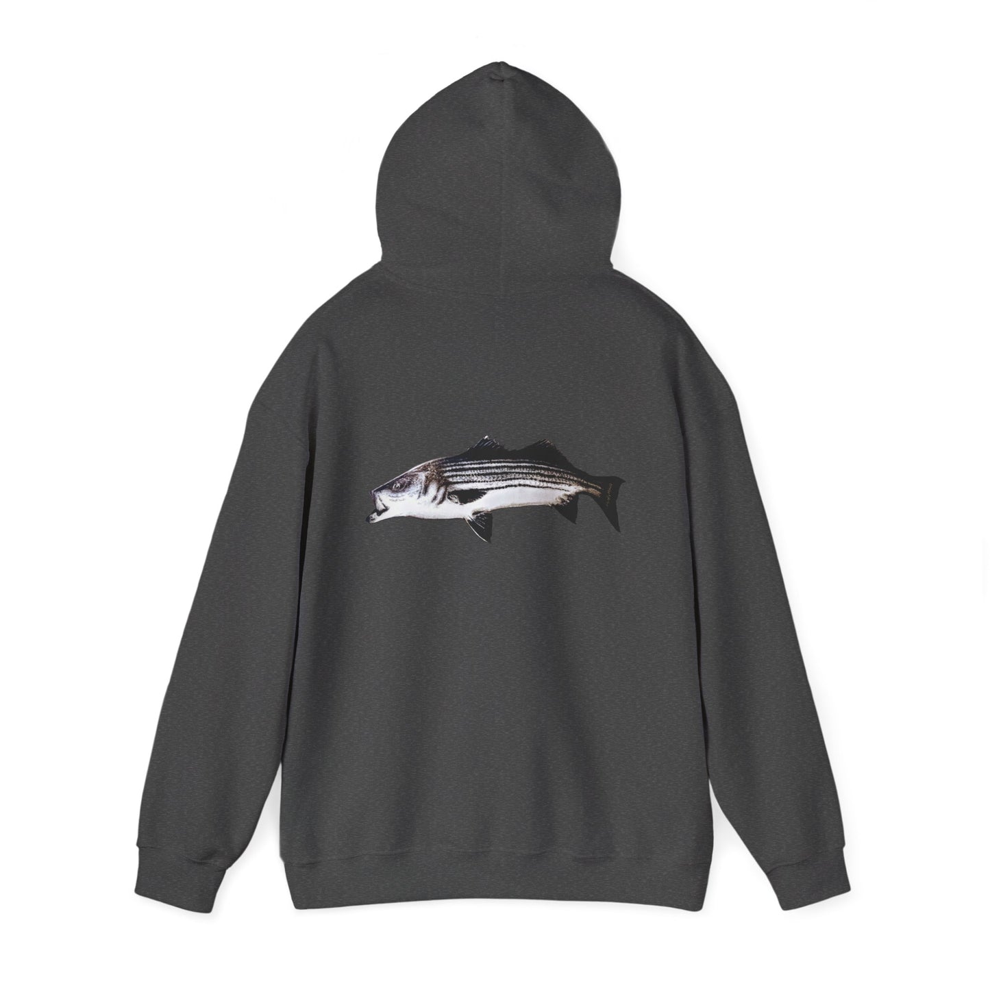 Tail-whip Striped bass 'striper' hooded sweatshirt