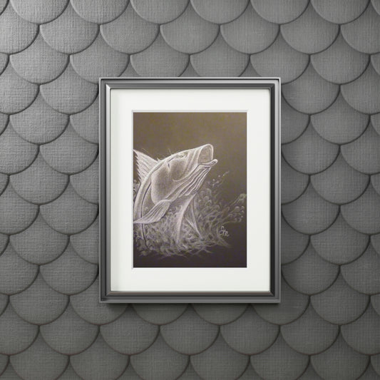 Tail-Whip Snook Attack Fine Art Prints (Passepartout Paper Frame)
